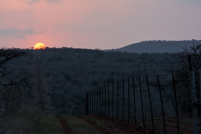 Sunset at the Thanda Private Game Reserve