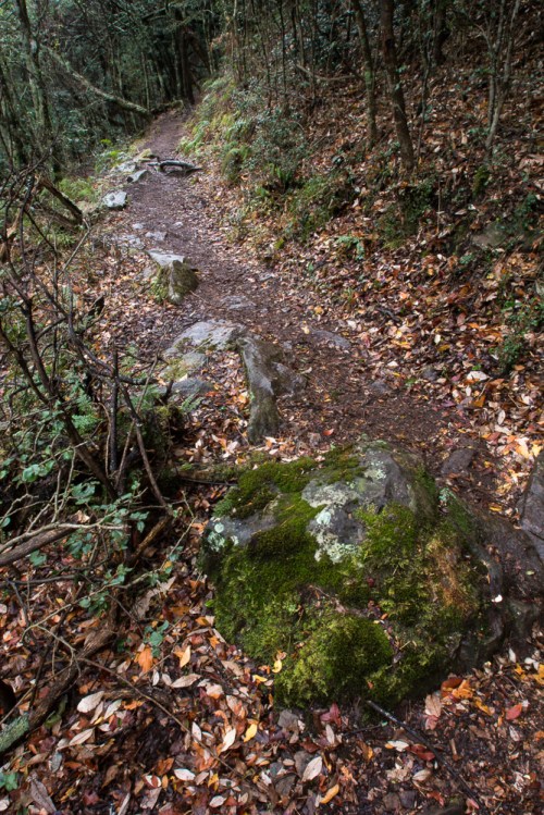 Path at Giant's Castle in the Drakensburg